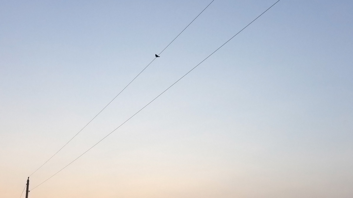 Be Online.<br />Your Customers Are. 